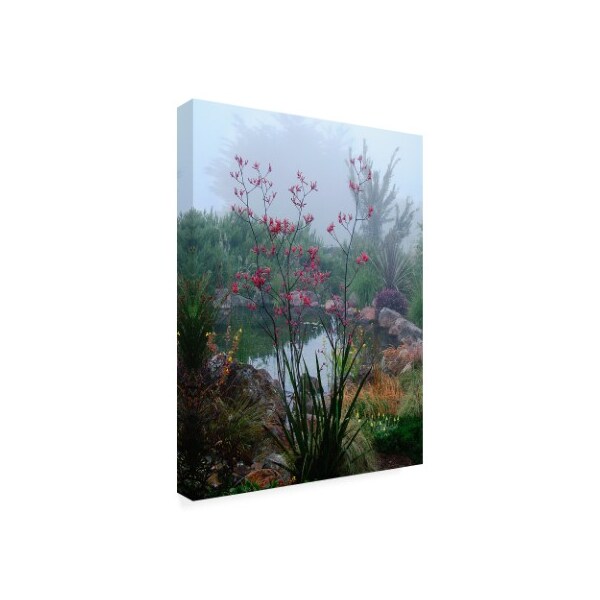 Lucy Aron 'Scarlet Marsh' Canvas Art,14x19